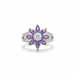 The Radiance Silver Ring | Brilliant Round Halo CZ
