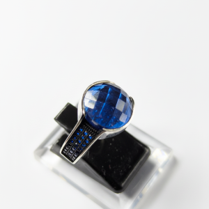 The Midnight Sentinel – Guard Your Legacy